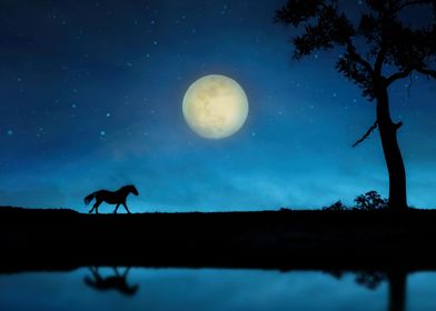 Horse and Moon