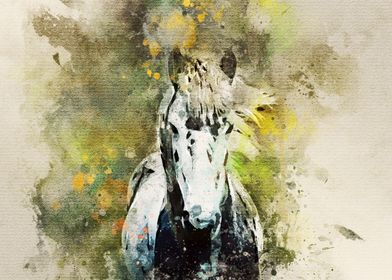 watercolor wild horse 