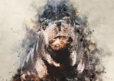 watercolor Earless seal