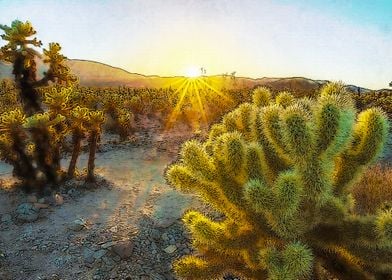 Joshua Tree National Park