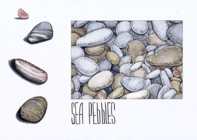 Sea pebbles