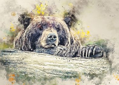 watercolor bear 