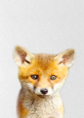 fox baby 