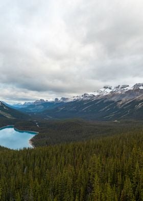 Peyto Valley B