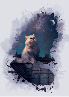 The Cat and The Moon