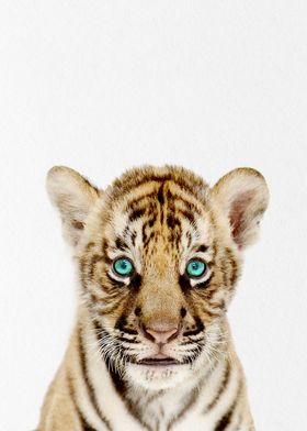 cute baby tiger 