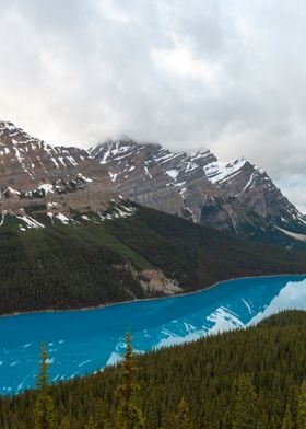 Peyto Valley A