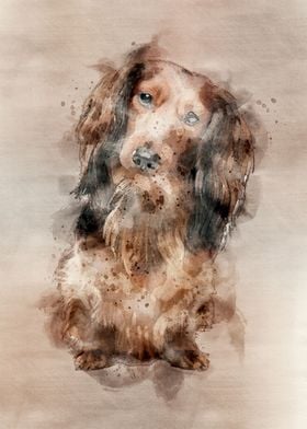 Dachshund in watercolor
