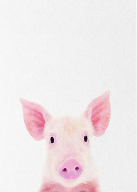 pink small pig 