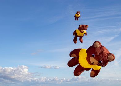 Flying bears