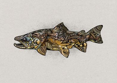 Brown Trout Reimagined