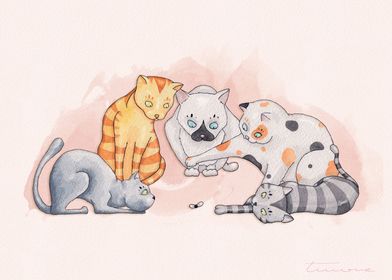 Cats Playtime