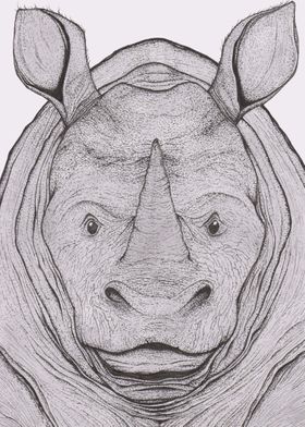 Greater One Horned Rhino