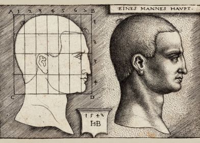 Male Head Anatomy