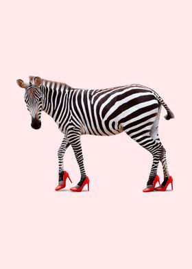 High Heel Zebra
