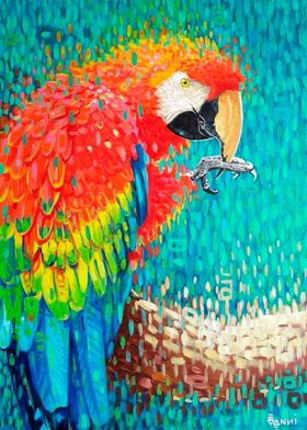 Red Macaw II