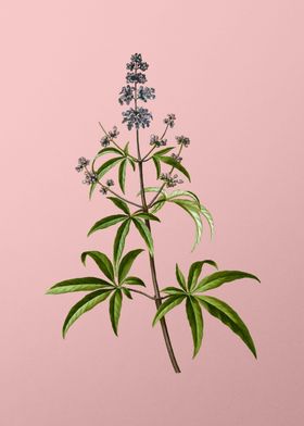 Floral Botanical On Pink 2-preview-3