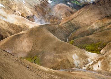 STEAMING HOMES