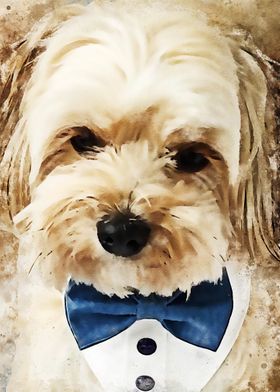 Top Selling-preview-2