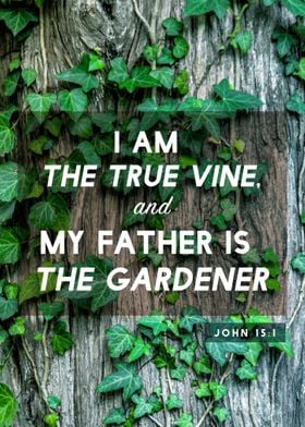 Jesus is the Vine 