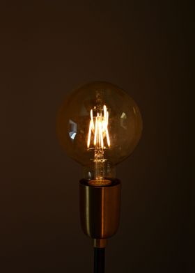 Bulb slash lamp