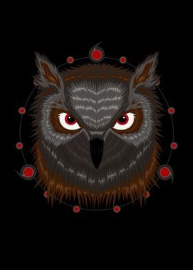 Owl vector Illustration