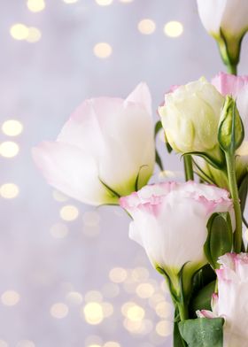 Eustoma flowers