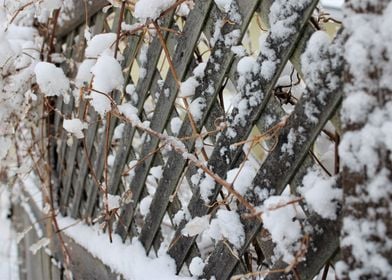 Snow fence