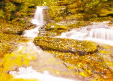 Chattahoochee Forest