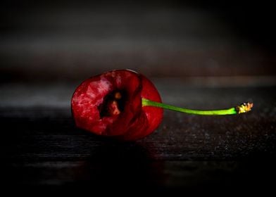 Cherry Bite