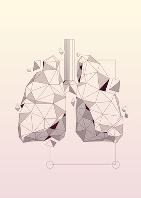 Lungs