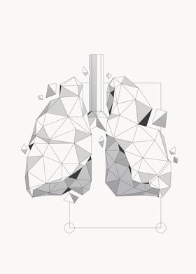 Lungs Grey