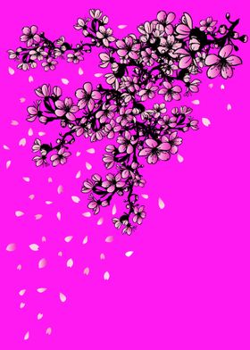 Cherry Blossom pink flower