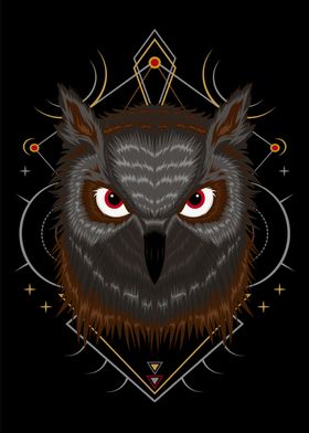 the owl illustration