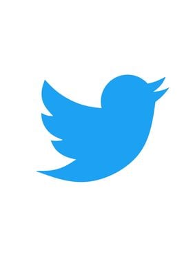 twitter logo blue on white