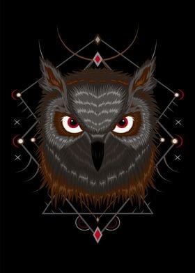 owl illustration vector