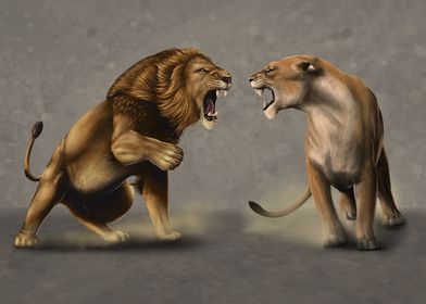 Lion and lioness fighting