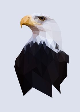 Geometric eagle