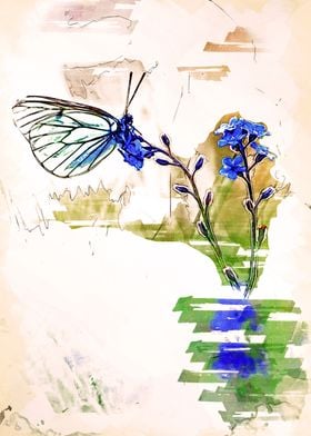 Butterfly