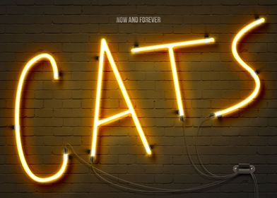Cats neon sign