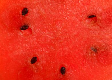 Red juicy watermelon