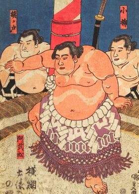 Sumo fighter I