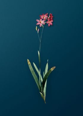 Floral Botanical On Teal 1-preview-0