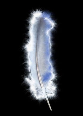 Mystical Feather