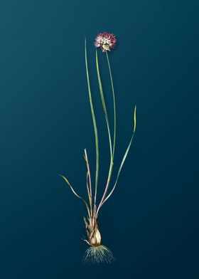 Floral Botanical On Teal 1-preview-2