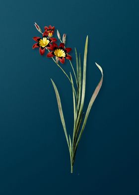 Floral Botanical On Teal 1-preview-3