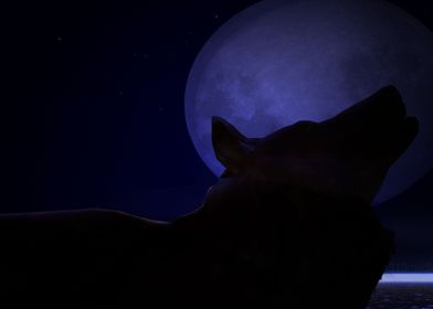 Animal Wolf Moon Twilight 