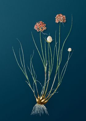 Floral Botanical On Teal 1-preview-0