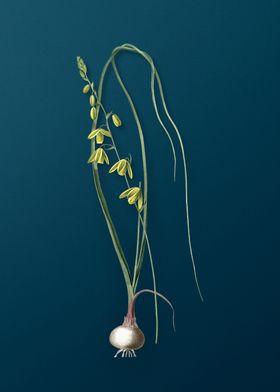 Floral Botanical On Teal 1-preview-2