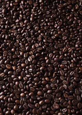 roasted coffee beans